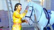 Sharad Malhotra Aka Maharana Pratap Will Buy Horse Chetak In Future