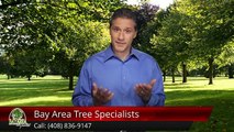 Tree Service San Jose - Bay Area Tree Specialists (408) 836-9147