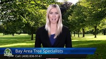Tree Removal San Jose - Bay Area Tree Specialists (408) 836-9147