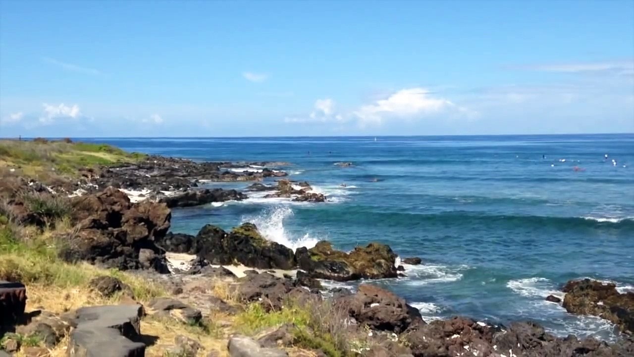 Trois-Bassins : les surfeurs à l'eau malgré le risque requins
