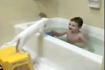 Cat And Baby   Baby Want To Take Shower With Cat