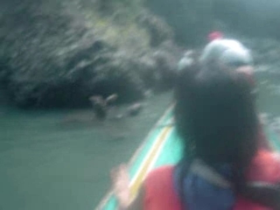 Shooting the Rapids