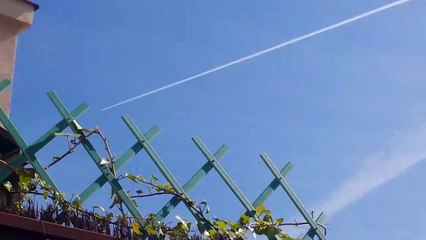 POLICIA LLAMADA 091 MEGA-FUMIGACION 2-5-2014. VER NOTAS. (720p)