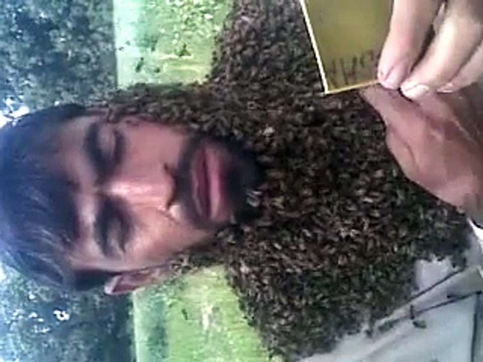 Honey bee on a man face