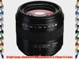 Panasonic L-X025 Full 4/3 DSLR Panasonic 25mm Lens for select Lumix SLR Digital Cameras