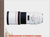 Canon EF 300mm f/4L IS USM Telephoto Lens for Canon SLR Cameras