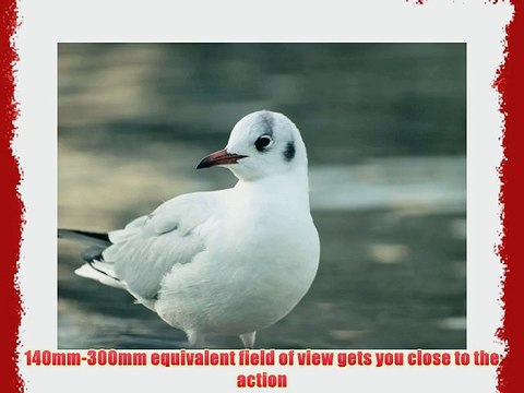 Olympus Zuiko 70-300mm f/4.0-5.6 ED Lens for Olympus and Panasonic Standard Four Thirds Digital