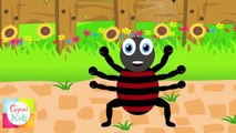 Incy Wincy Spider (Itsy Bitsy Spider) Nursery Rhyme   Kids Animation Rhymes Songs