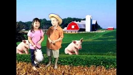 KIDS  Old MacDonald Had a Farm   Cuckoo Concertos
