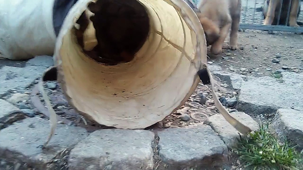 Be Aware H's @ Labyrinth