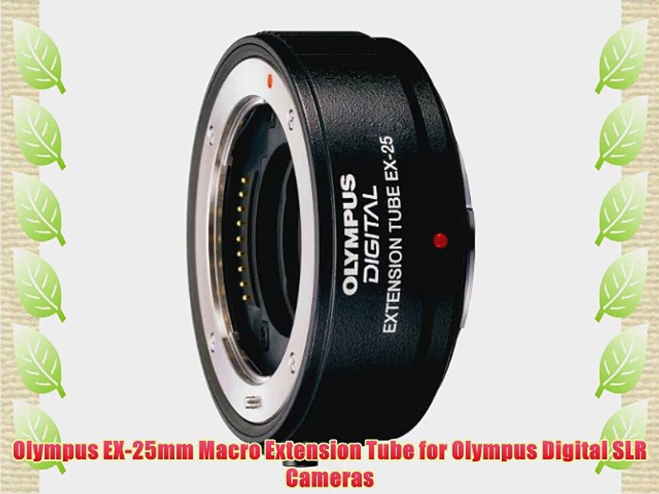 Olympus EX-25mm Macro Extension Tube for Olympus Digital SLR Cameras
