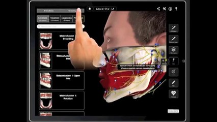 3D Medical in Dentistry