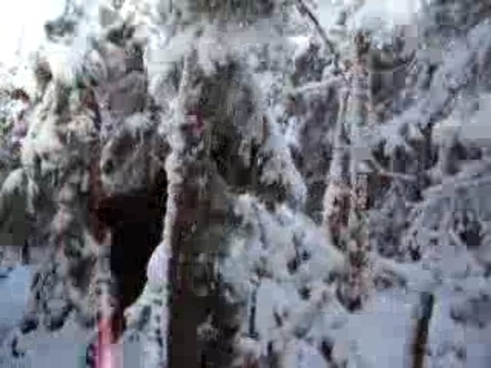 Course au Mont Gosford sous la neige