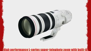 Canon EF 200-400mm f/4L IS USM Extender 1.4x