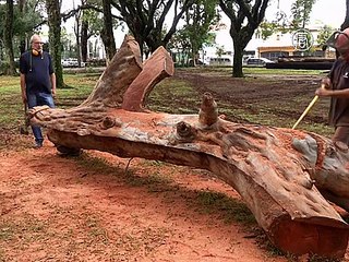 Всё в дело: из упавших деревьев делают уличную «мебель»