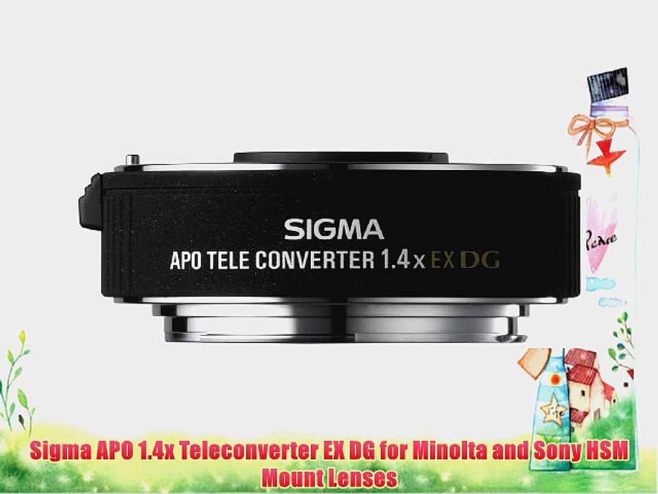 Sigma APO 1.4x Teleconverter EX DG for Minolta and Sony HSM Mount Lenses