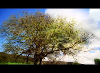 TV GRACIA Música: "Mi Cubierta" – Zafiro