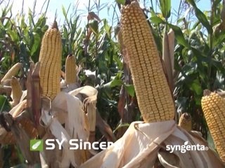 SVET POLJOPRIVREDE_391_14.03.2015.