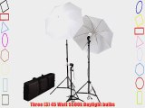 CowboyStudio Photography/Video Portrait Umbrella Continuous Triple Lighting Kit with Three