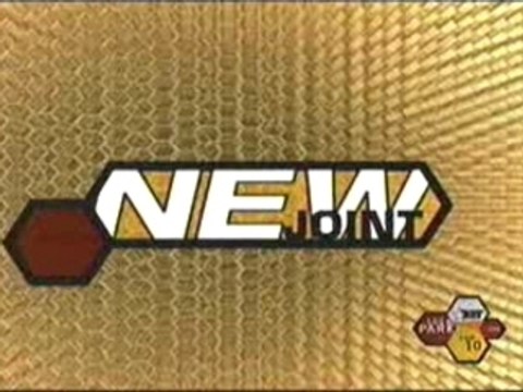 Rah Digga - Party And Bullshit