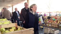 Départementales: en Tarn-et-Garonne, le fief Baylet attaqué