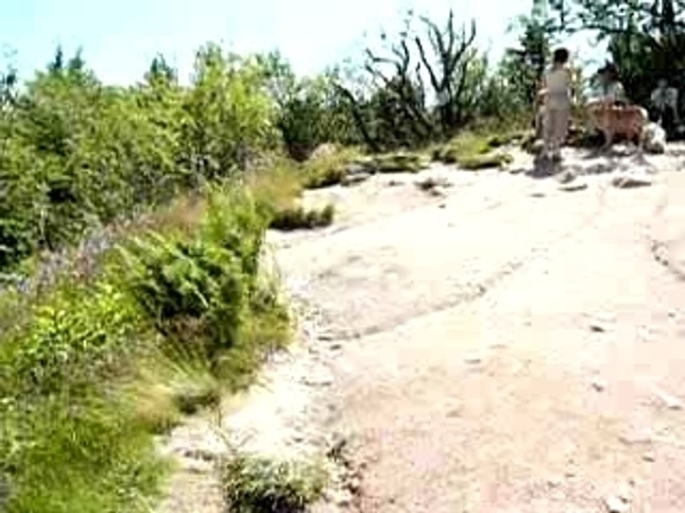 Les 3 lacs dans les Vosges