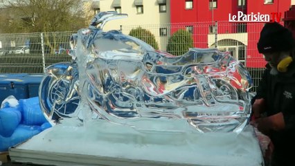 Euro-glaçon : l'entreprise qui fige vos désirs dans la glace