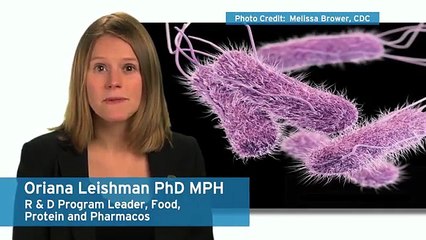 Ecolab Experts on Microbes - Salmonella