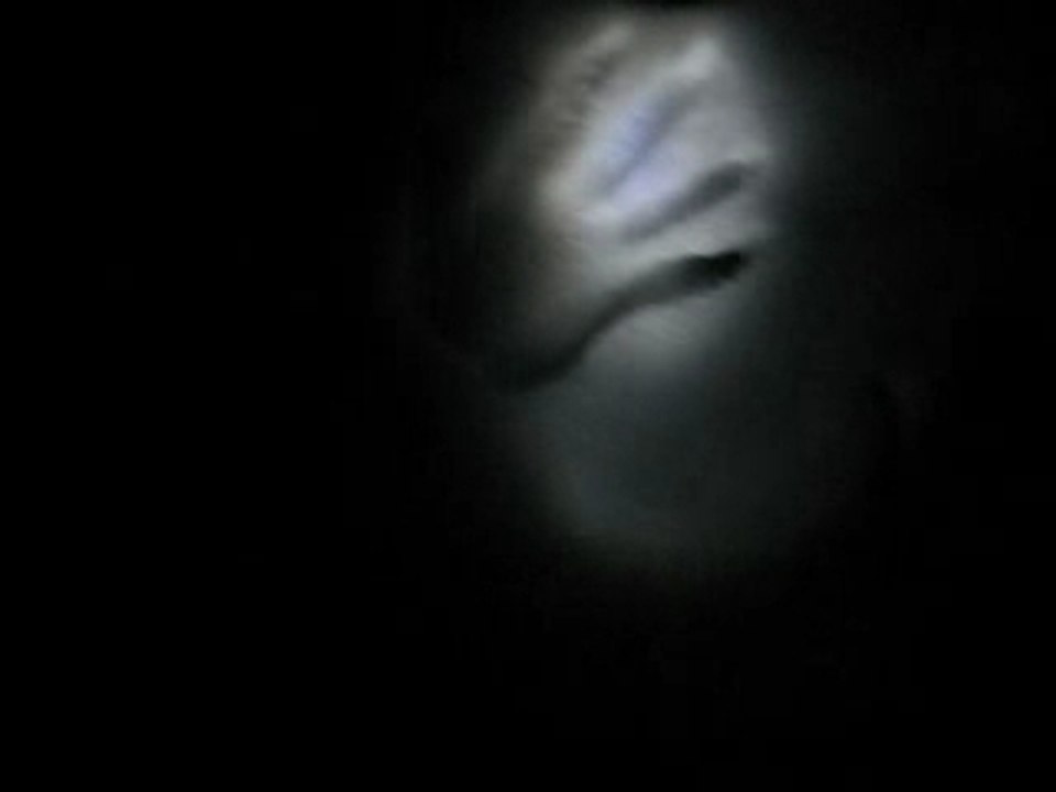 Hands in snow