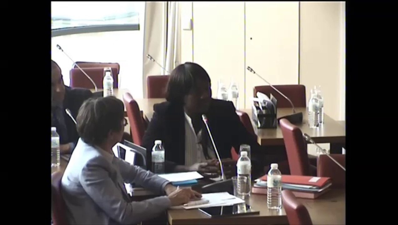 Seybah Dagoma - Audition de M. Matthias Fekl, secrétaire d'Etat chargé du Commerce extérieur, de la promotion du Tourisme et des Français de l'étranger - 17 mars 2015