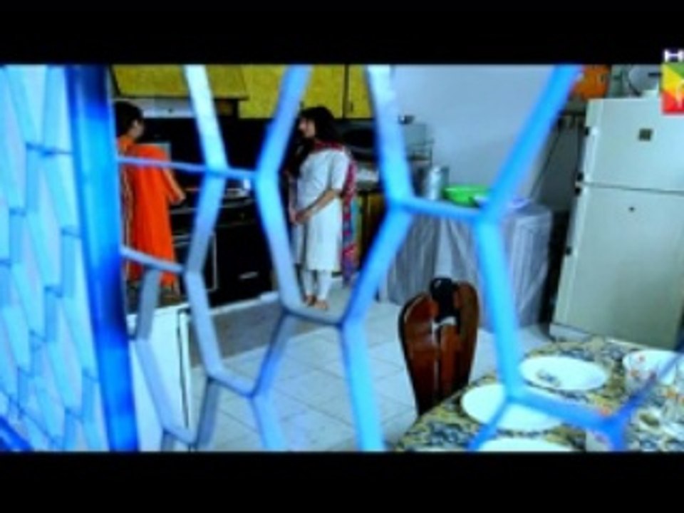 Sartaj Mera Tu Raaj Mera Episode 15 Full HUM TV Drama Mar 18,2015