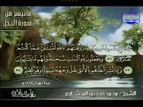 تلاوة نادرة للشيخ محمد صديق ما تيسر من سورة النحل