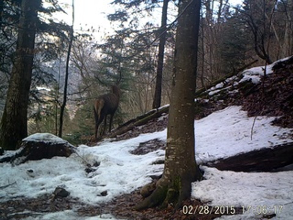 2015_cerf_12