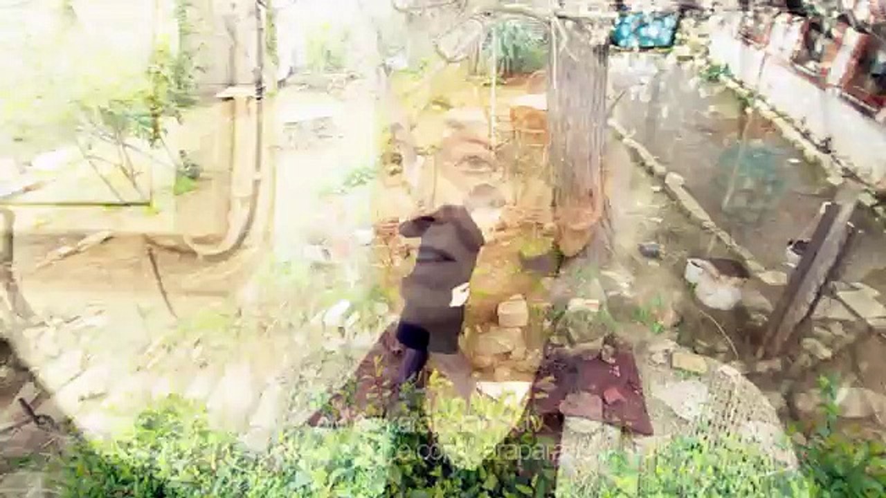 k2_HDTV.