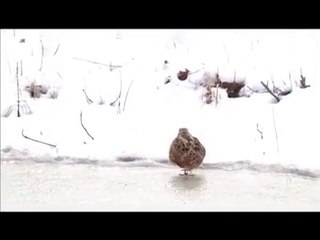 This Will Make You Smile - Amazing