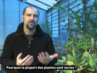 Eclipse : quand les astres s'alignent