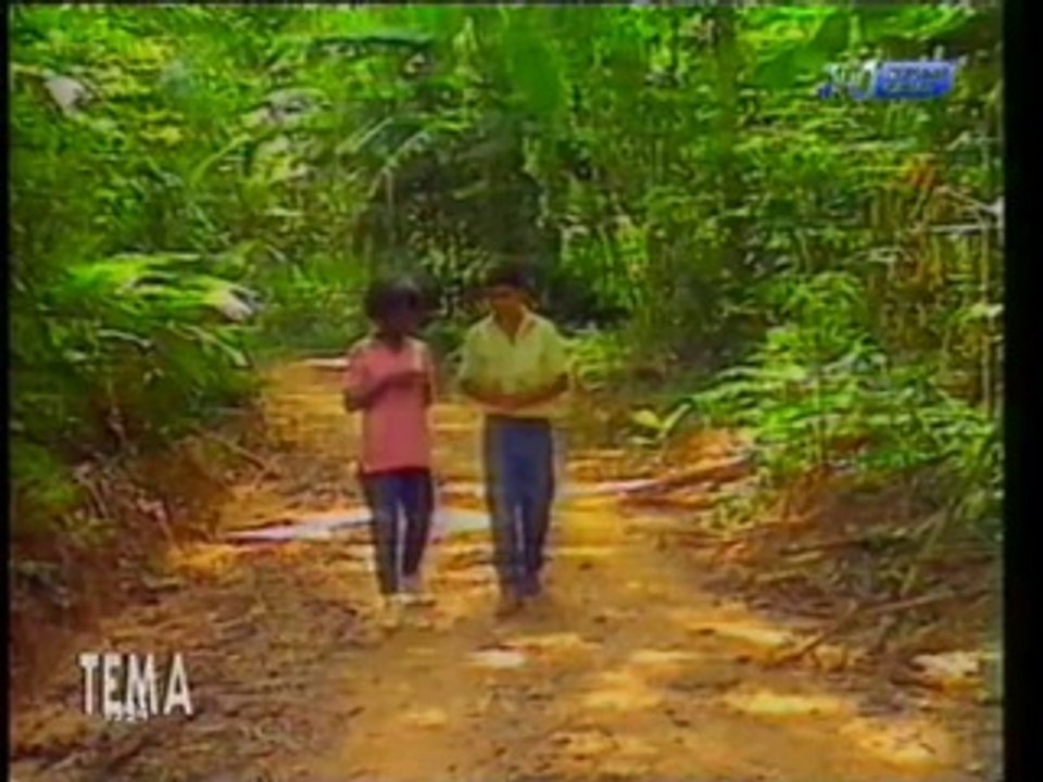 Тема (1-й канал Останкино, 1994) Браки несоверш...