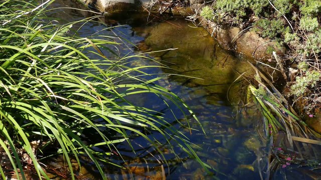 Memories while enjoying nature