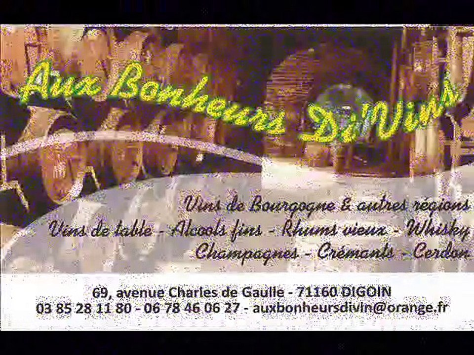 SALON DES VINS 2015