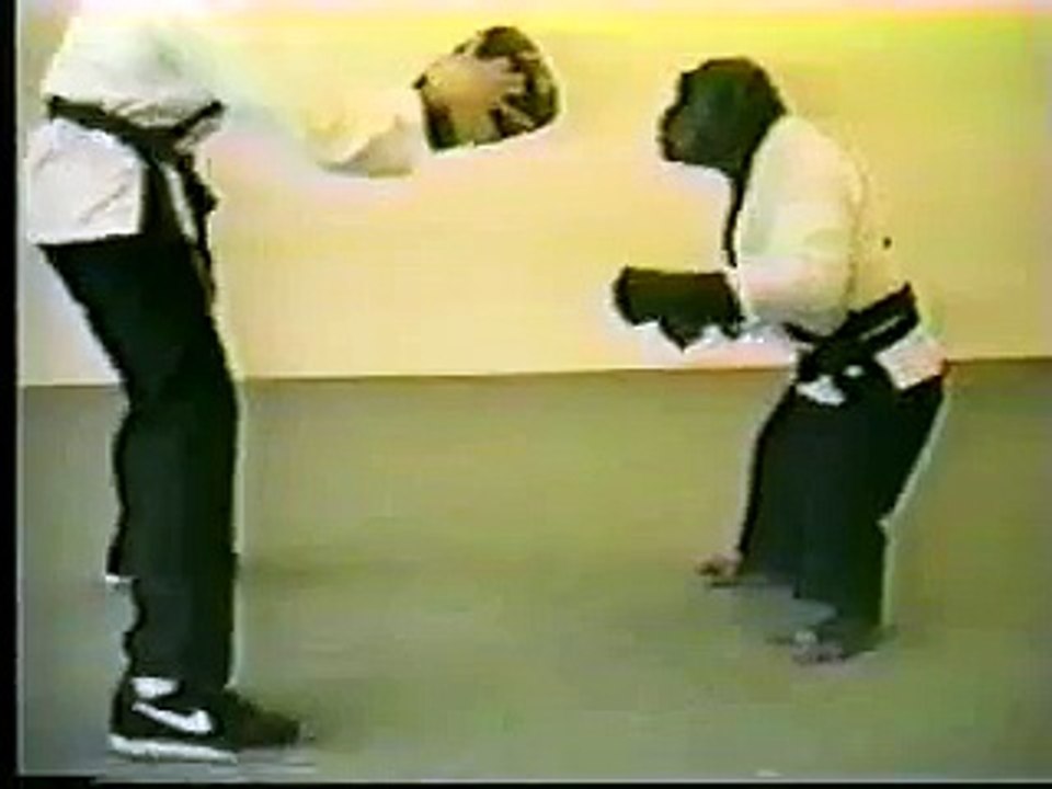 karate chimp funny fight amazing