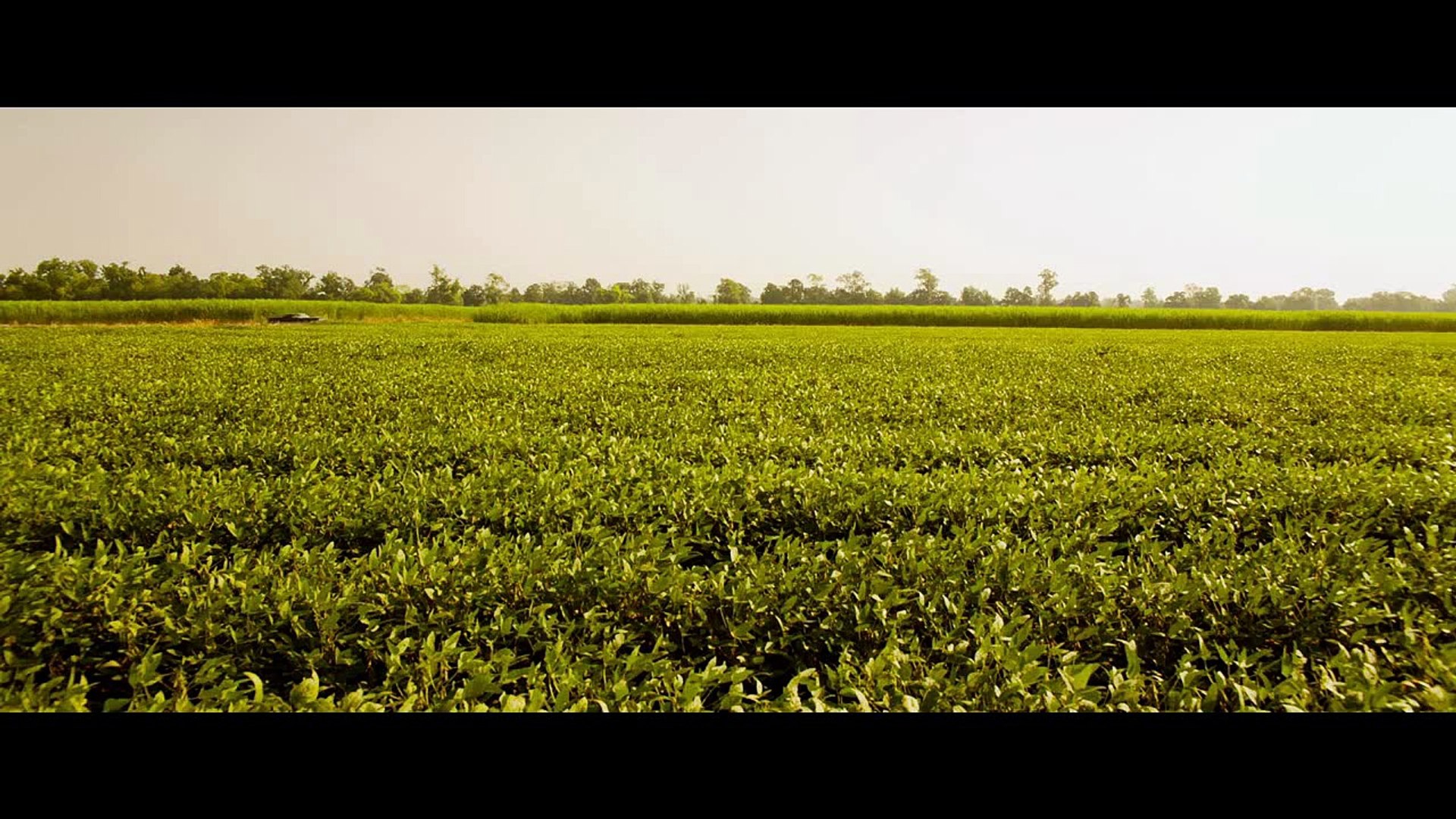 Fantastic four 2015 full movie in hindi watch online dailymotion hotsell
