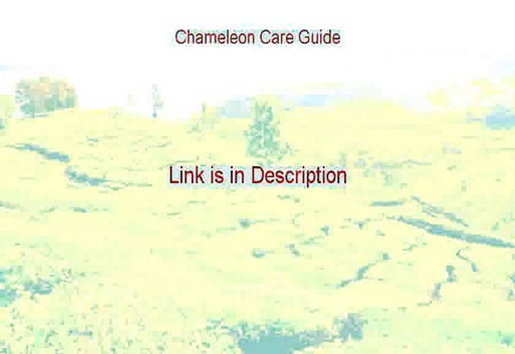 Chameleon Care Guide Review [Watch this]