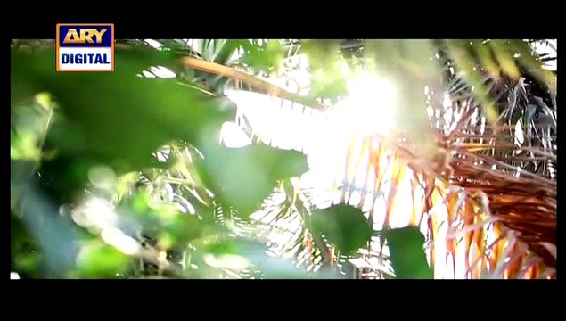 Parvarish Last Episode 23 On Ary Digital in High Quality 17th March 2015 - DramasOnline