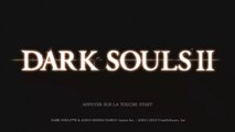 1iers Pas sur Dark Souls II