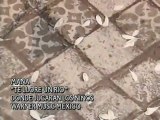 Mana - Te Llore Un Rio