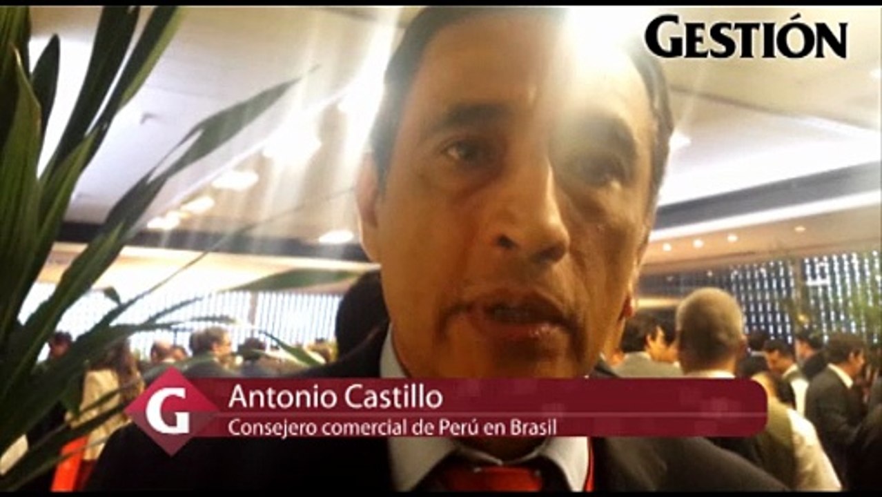 Hay seis empresas brasileras interesadas en ingresar al Perú