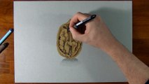 Drawing Time Lapse_ walnut - hyperrealistic art