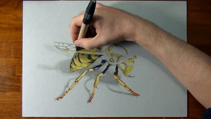 Drawing Time Lapse_ wasp 3D effect
