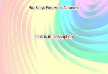 Roz Berrys Freshwater Aquariums Reviews - See my Review