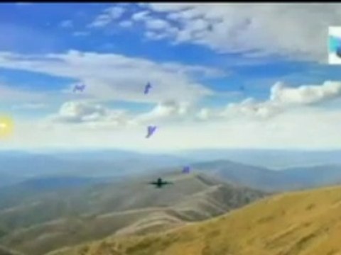 la extincion de las ballenas, Misterios y Enigmas, Español latino